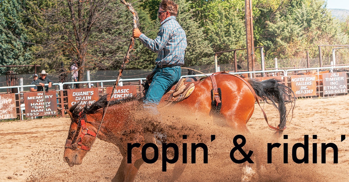 Title Image with a Man on a Bucking Horse at a Rodeo