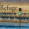 Title Image with Eagle Perched on Sign at Tule Lake Wildlife Refuge