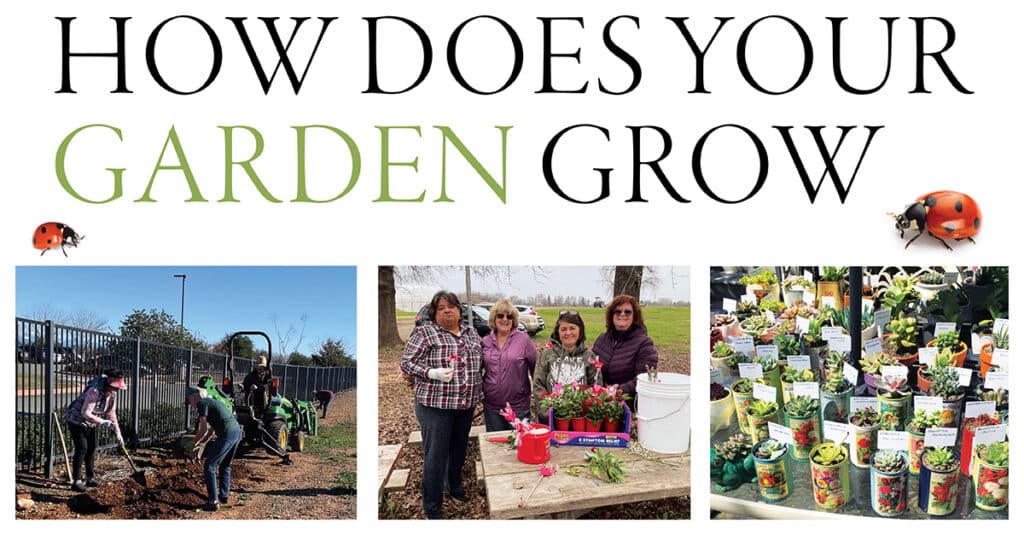How Does Your Garden Grow - Enjoy Magazine